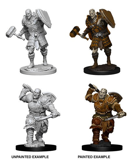 D&D Nolzur's Marvelous Miniatures: Goliath Fighter Male