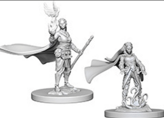 Dungeons & Dragons: Nolzur's Marvelous Unpainted Miniatures - W04 Elf Female Druid