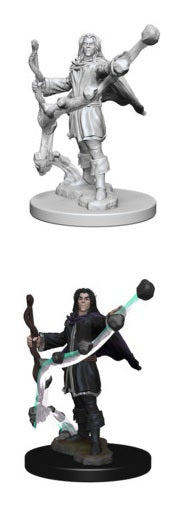 PF UNPAINTED MINIS WV1 ELF MALE SORCERER