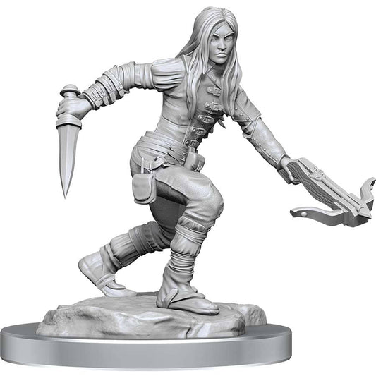NOLZUR'S MARVELOUS MINIATURES: FEMALE HALF-ELF ROGUE