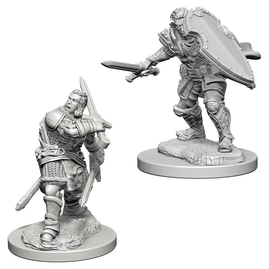 Dungeons & Dragons Nolzur`s Marvelous Unpainted Miniatures: W3 Human Male Paladin